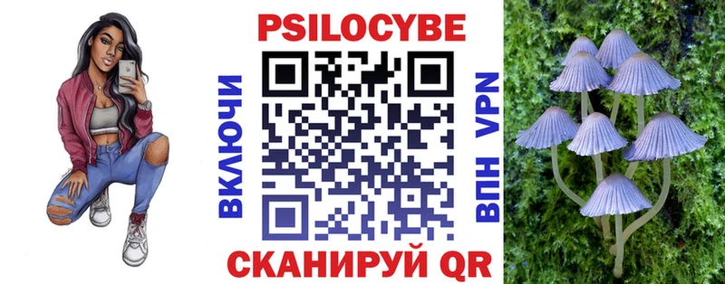 Псилоцибиновые грибы Psilocybine cubensis сколько стоит Мглин